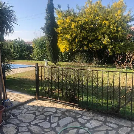 Au Mimosa -Gite Le Canigou Passa Buitenkant foto
