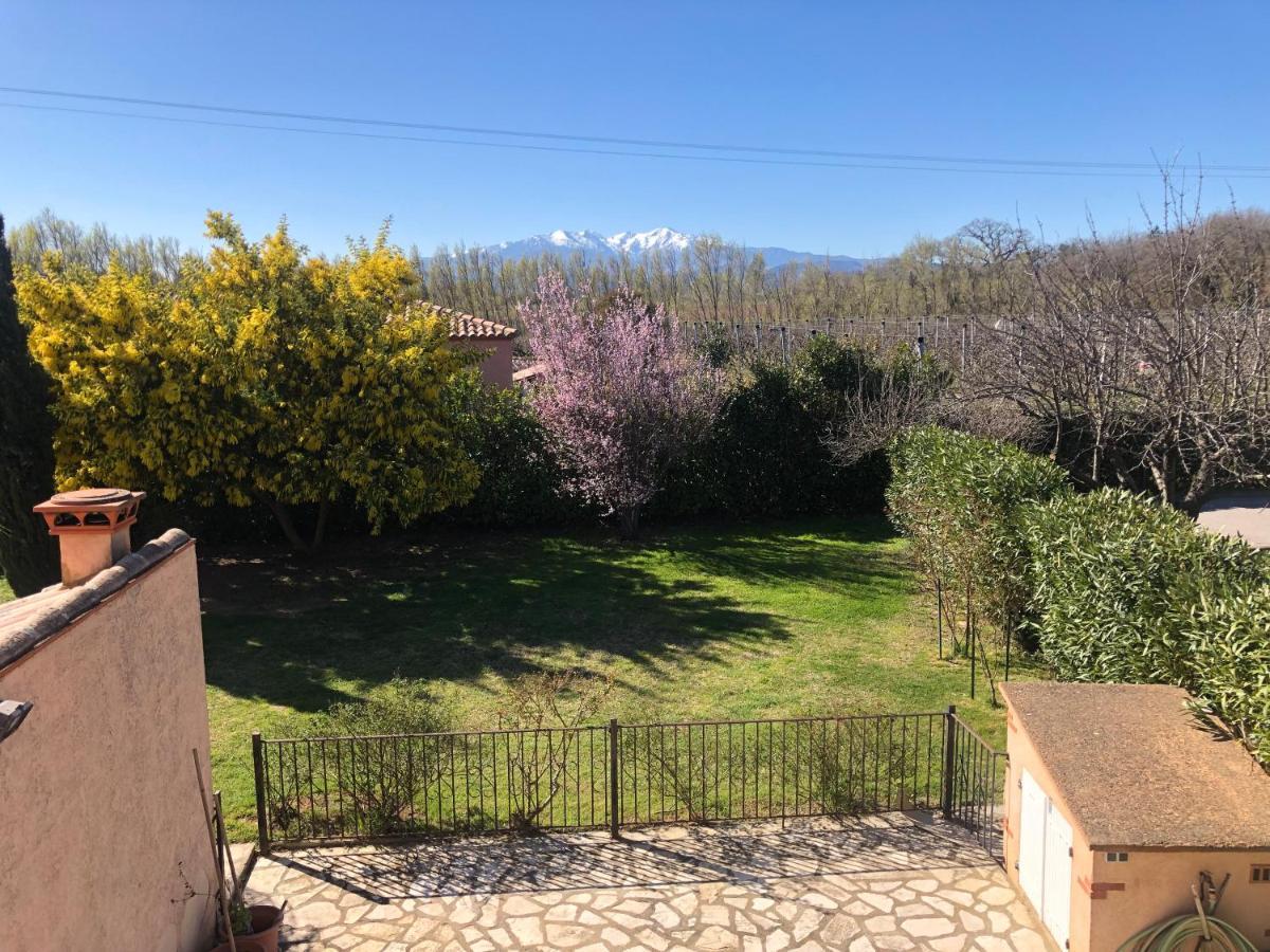 Au Mimosa -gite Le Canigou Passa