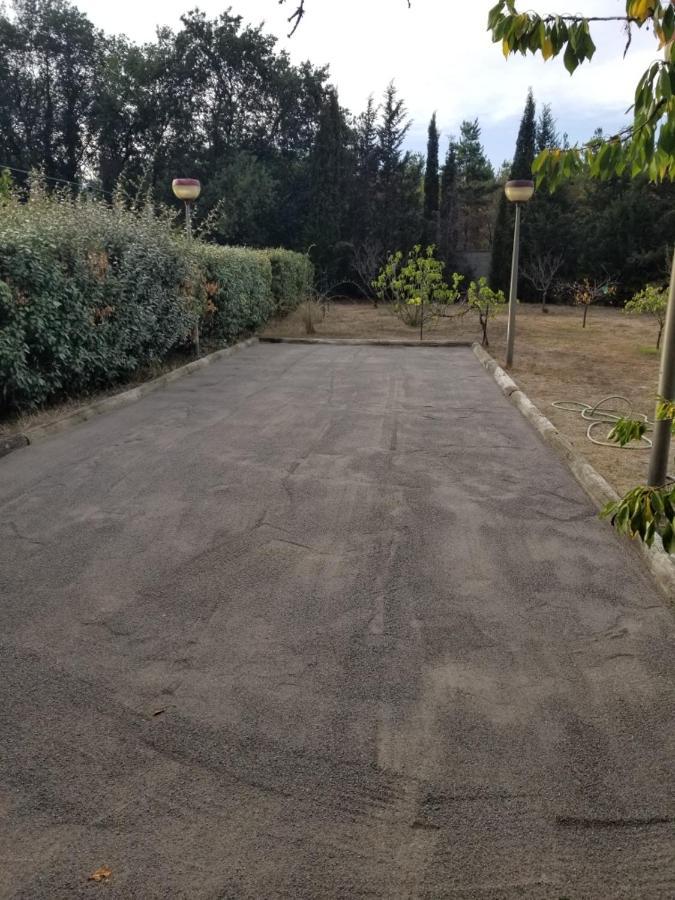 Au Mimosa -gite Le Canigou Passa