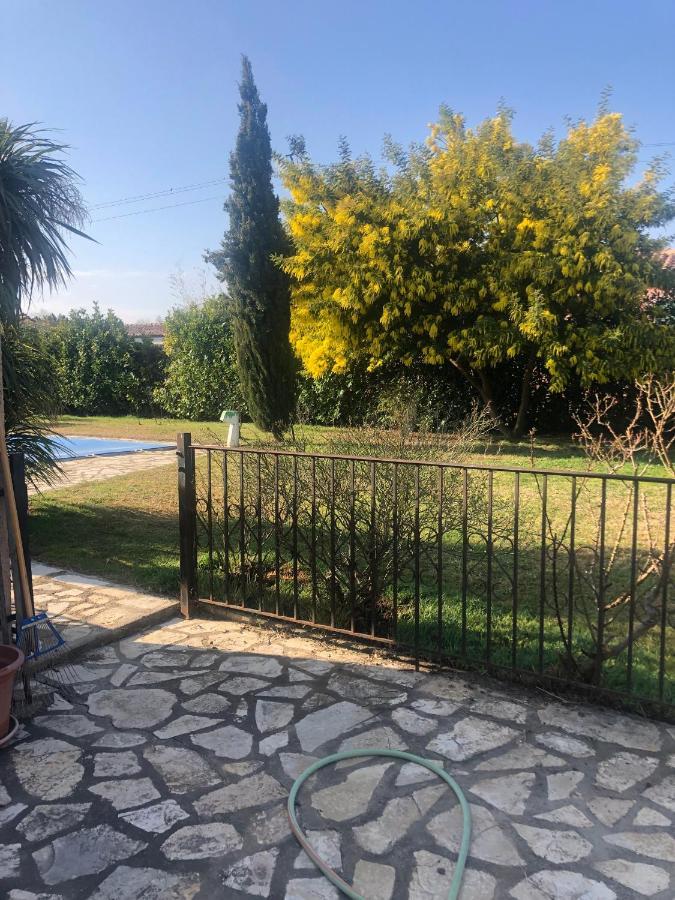 Au Mimosa -gite Le Canigou Passa